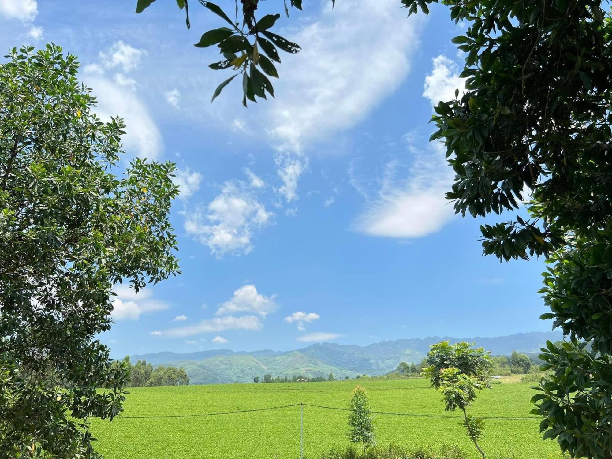 Happy Homestay Nghia Lo エクステリア 写真