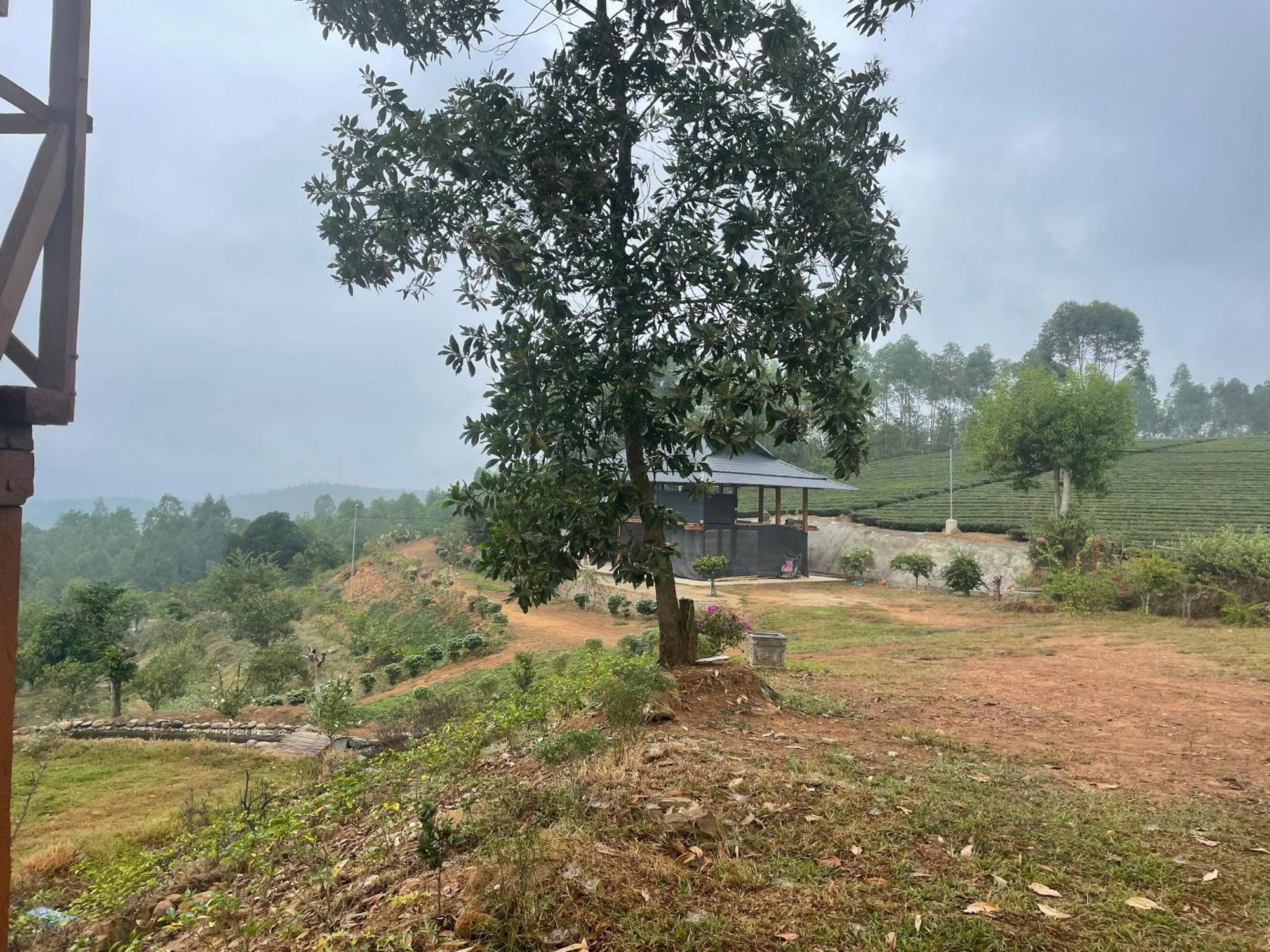 Happy Homestay Nghia Lo エクステリア 写真